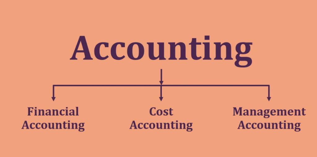 3 Major Areas of Accounting